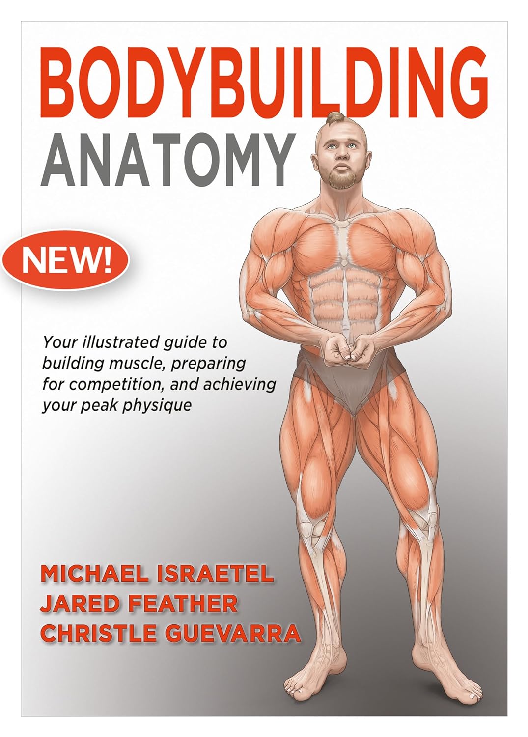 Bodybuilding Anatomy -2026