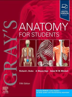 Gray's Anatomy for Students 5th Edition - 2024