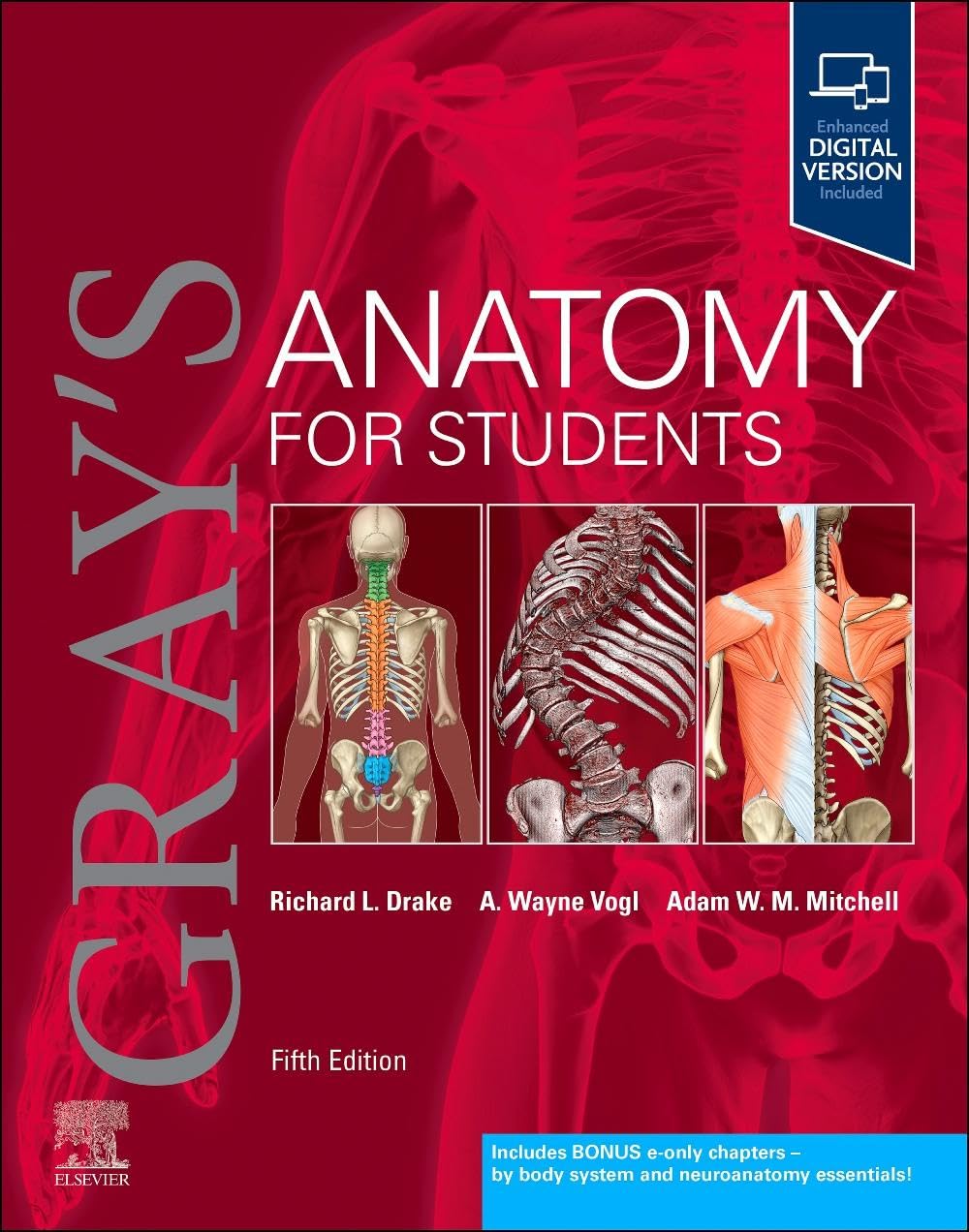 Gray's Anatomy for Students 5th Edition - 2024